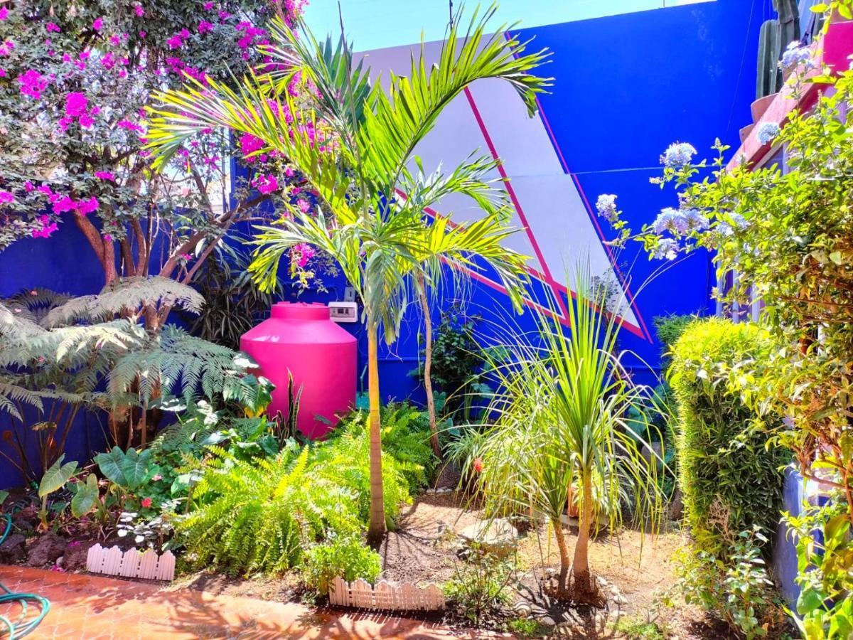 Maguey Guesthouse Cidade do México Exterior foto