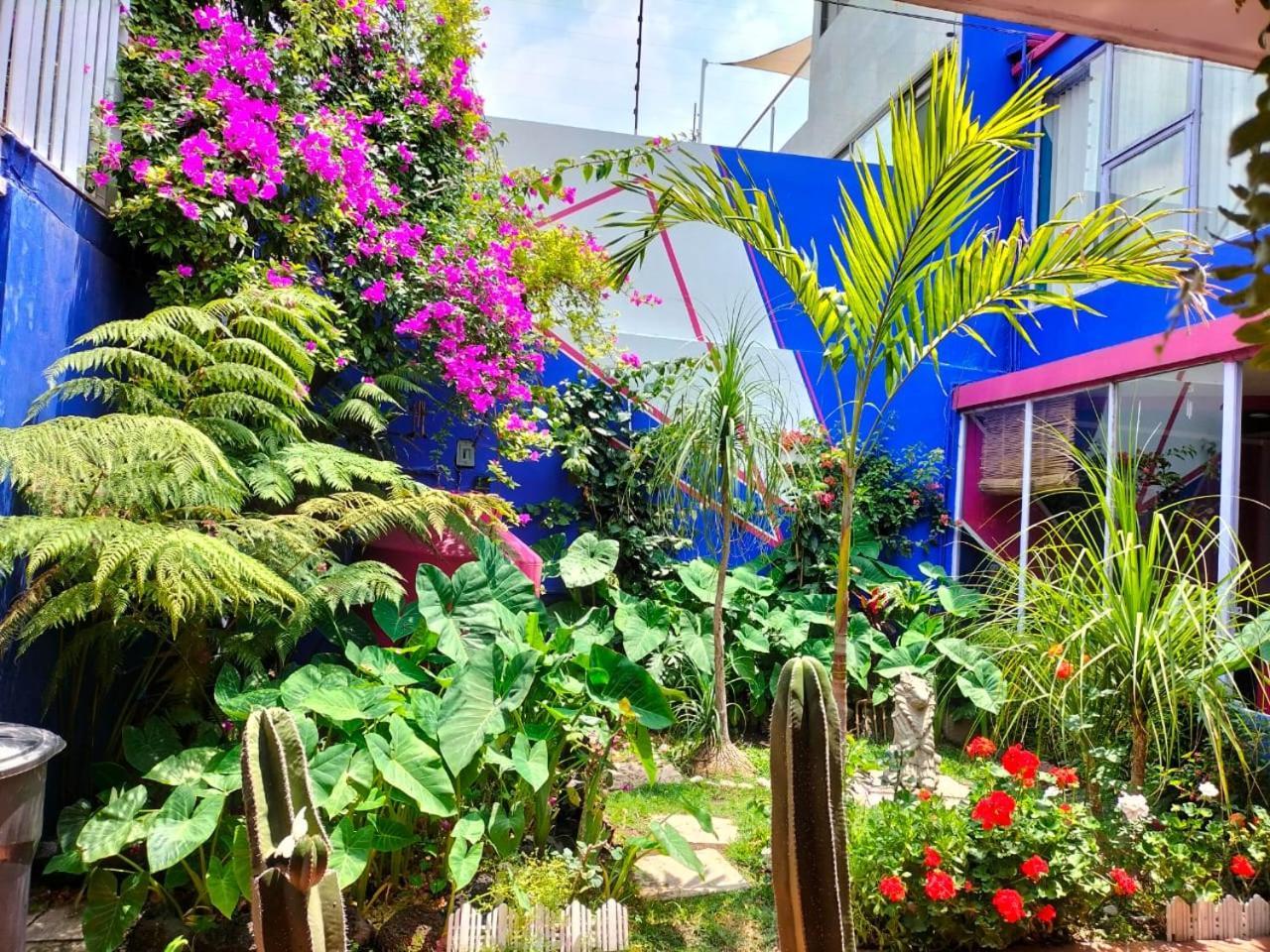 Posada Bugambilia Cidade do México Exterior foto