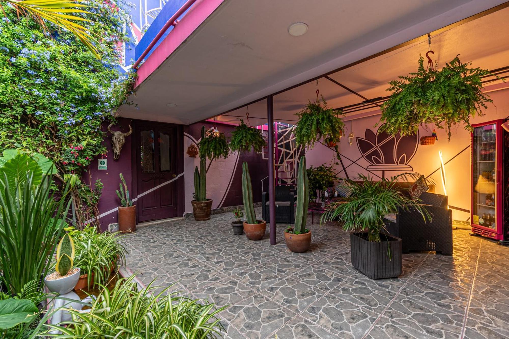 Maguey Guesthouse Cidade do México Exterior foto